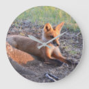 Zoek naar fox klokken Natuur