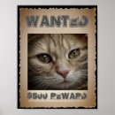 Zoek naar wanted posters Katten