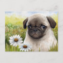 Zoek naar mager briefkaarten Puppy