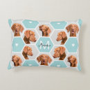 Zoek naar katten accent kussens Voor huisdieren