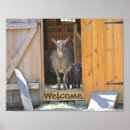 Zoek naar baby geit posters Platteland