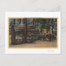 Zoek naar calaveras briefkaarten Big