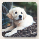 Zoek naar puppy onderzetters Horizontaal