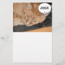 Zoek naar grappige katten briefpapier Humor