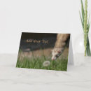 Zoek naar fretten kaarten Schattig