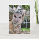 Zoek naar geur kaarten Dier