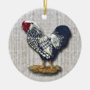 Zoek naar hanen ornamenten Haan