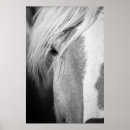Zoek naar interpretatie posters Voor iedereen