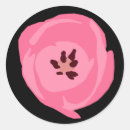 Zoek naar roze tulpen stickers Bloem