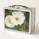 Zoek naar bloemen lunchboxen Elk persoon