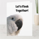 Zoek naar kaketoe kaarten Cockatoo