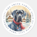 Zoek naar denen stickers Winter