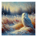 Zoek naar sneeuwuil kunst Wild