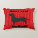 Zoek naar teckel kussens Doxie