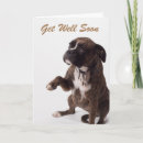Zoek naar stamboom kaarten Hond