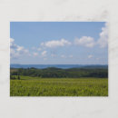 Zoek naar old briefkaarten Stad