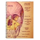 Zoek naar anatomie notitieboeken School