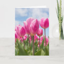 Zoek naar tulpen verjaardagskaarten Zus