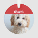 Zoek naar labradoodle ornamenten Gezelschapsdieren