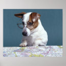 Zoek naar concentratie posters Close up