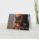 Zoek naar paarden kaarten Voor haar