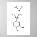 Zoek naar hormoon posters Chemie