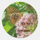 Zoek naar wespen stickers Hoorntje