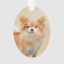 Zoek naar chihuahua hond ornamenten Puppy
