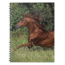 Zoek naar arabisch notitieboeken Paard