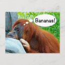 Zoek naar bananen briefkaarten Aap