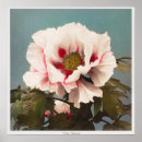 Zoek naar magnolia foto posters Bloem