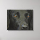 Zoek naar zwart labrador kunst Schattige hond