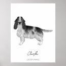 Zoek naar engelse cocker spaniël posters Engels cocker spaniel