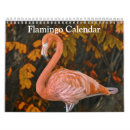 Zoek naar flamingo fotografie Dieren