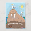 Zoek naar walrus briefkaarten Cartoon