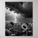 Zoek naar regen kunst Weer