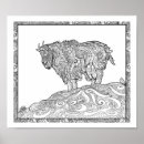 Zoek naar berg geiten posters Alaska