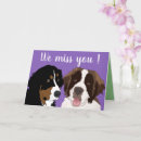 Zoek naar st bernards kaarten Saint bernard