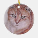 Zoek naar tabby cat ornamenten Katten
