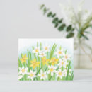 Zoek naar narcis briefkaarten Botanisch