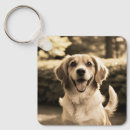 Zoek naar dog sleutelhangers Hondenliefhebbers