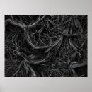 Zoek naar boom wortels posters Uniek