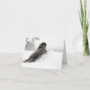 Zoek naar portugese waterhond kaarten Huisdier