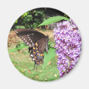Zoek naar entomologie magneten Natuur
