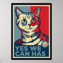Zoek naar lolcats Katten