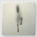 Zoek naar acryl onderzetters Natuur