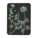 Zoek naar natuur magneten Bloemen