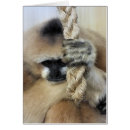 Zoek naar gibbon kaarten Voor iedereen