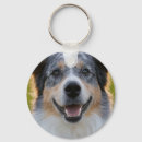 Zoek naar pets sleutelhangers Huisdier
