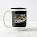 Zoek naar samenwerking mokken Motivatie